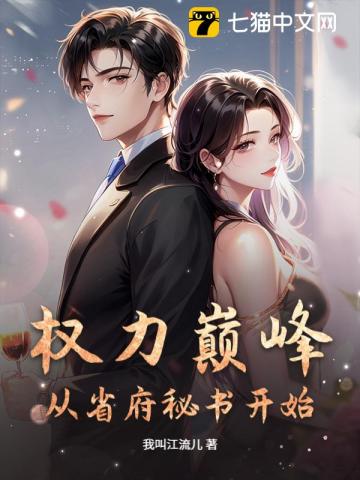 权力巅峰:从省府秘书开始