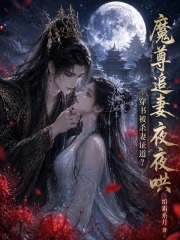 穿书被杀妻证道?魔尊追妻夜夜哄